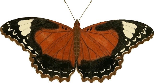 Nature Animal, Butterfly, Insect, Nature - Icanvas 'plate 62' By Cramer And Stoll Graphic Art (1979x2799)