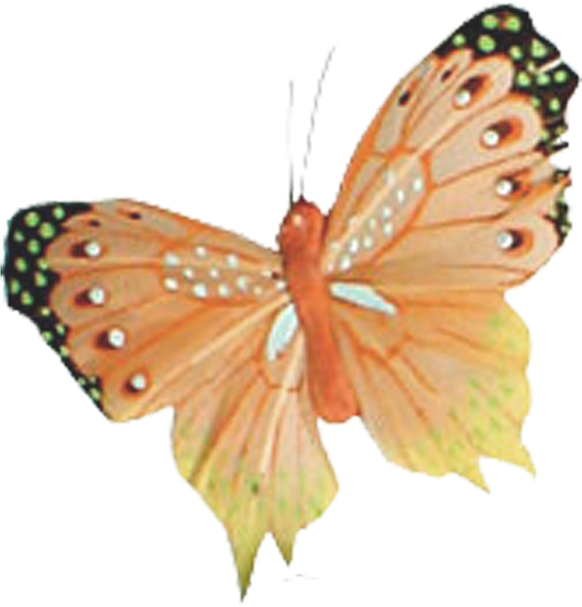 Posted By Alicia Holloway/butterfly1037 At - Gulf Fritillary (1500x1500)