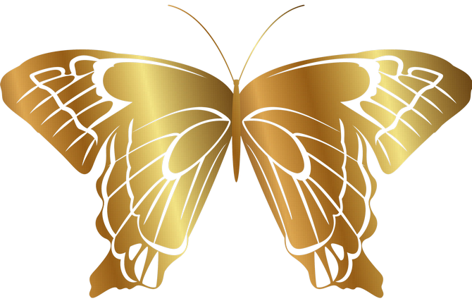 Monarch Butterfly Silkworm Brush-footed Butterflies - Swallowtail Butterfly (670x427)