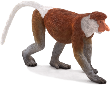 Proboscis Monkey Toy (500x400)