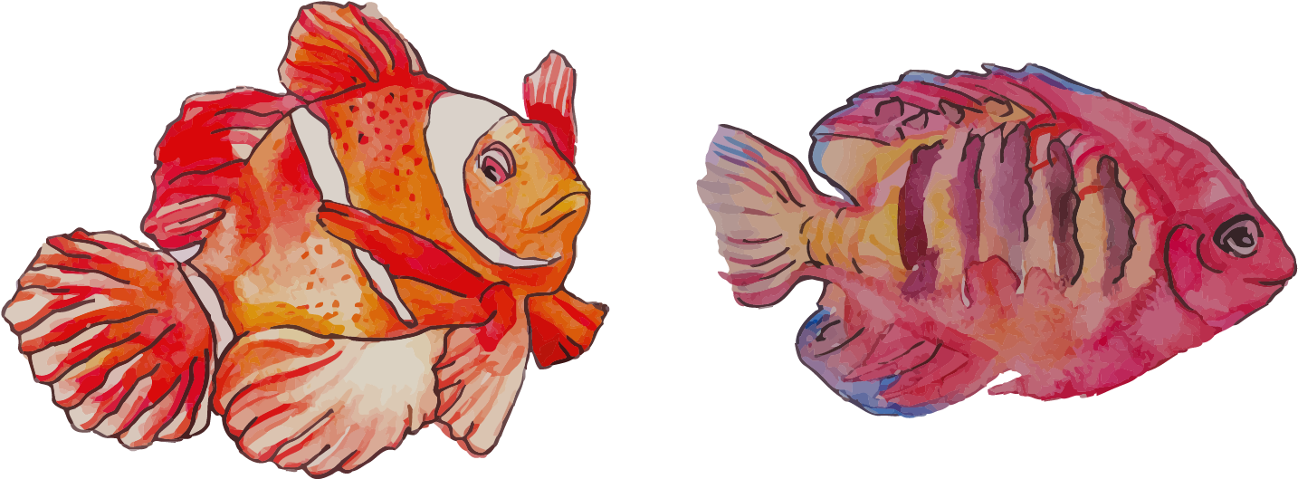 Watercolor Painting Clownfish - Watercolor Painting (1502x757)