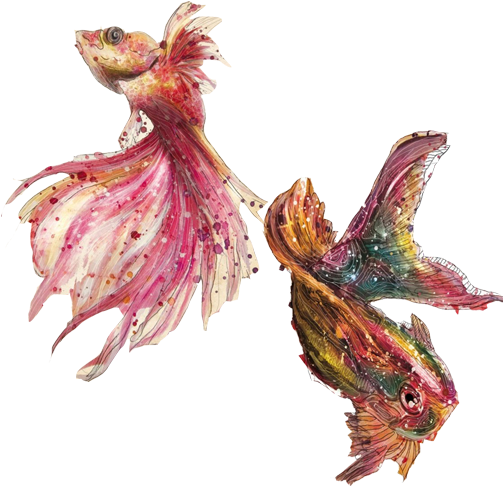 Goldfish Watercolor Painting Ink Wash Painting Illustration - Watercolor Painting (502x502)