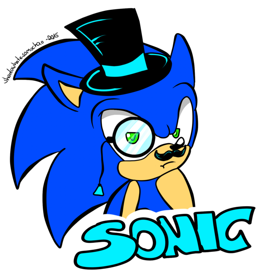 Fancy Sonic By Shadowhatesomochao - Painting (894x894)