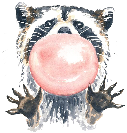 Raccoon Watercolour Flowers Watercolor Painting Illustration - Watercolour Raccoon (564x705)