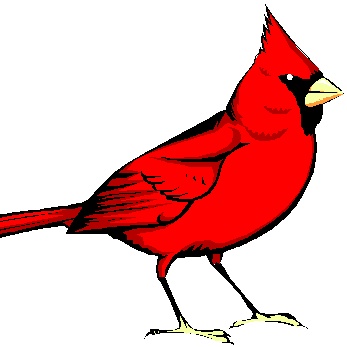 Cardinal Consignment - New York Bird Feed, 5 Lbs (347x347)