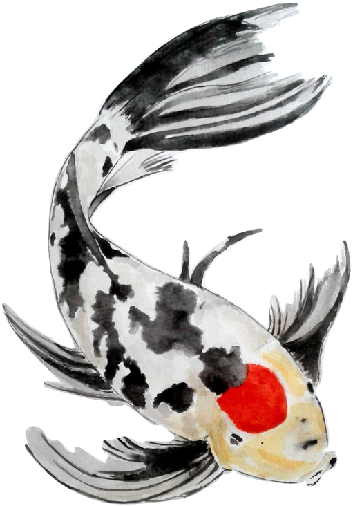 Koi Watercolor Painting Fine Art - T-shirt (557x800)