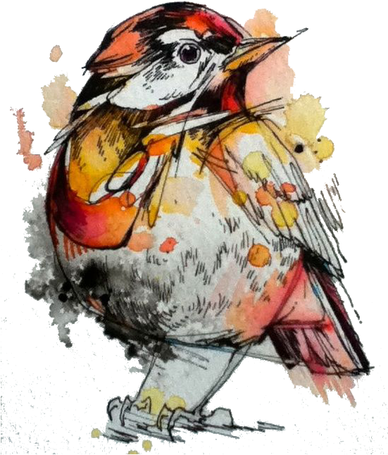 Watercolor Painting Drawing Artist - Watercolour And Ink Artist (550x861)