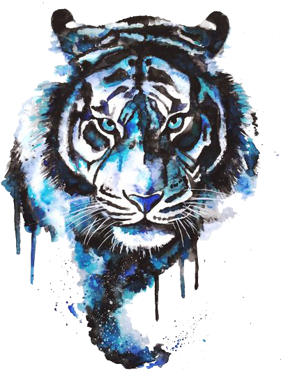 Tiger Drawing Tattoo Art Watercolor Painting - Tattoo Designs (564x564)