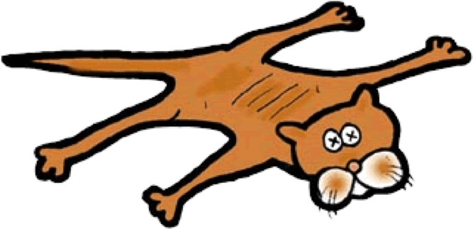 A Salesperson's Competitive Advantage, Or An Operation - Cafepress Blackhawks Dead Cat On The Kennedy Baby Blanket (730x385)