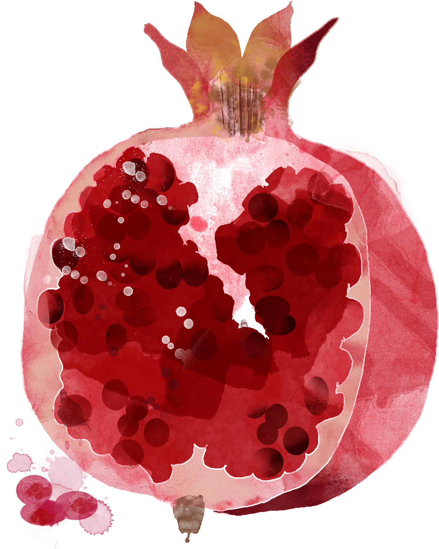 Watercolor Painting Drawing Fruit Illustration - Pomegranate Open (2500x2500)