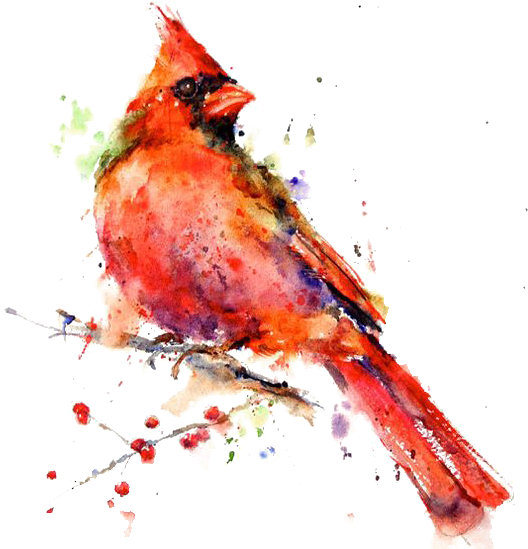 Bird Watercolor Painting Drawing Canvas Print - Watercolour Painting Of Animals (564x564)
