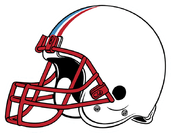 1 Blank - Green Bay Packers Helmet (600x436)