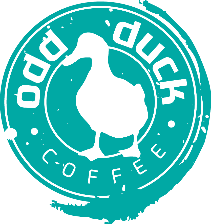 Odd Duck Wichita Falls (834x887)