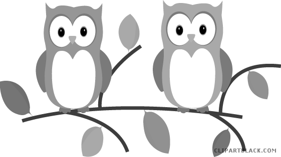 Owl On A Branch Animal Free Black White Clipart Images - Introduce Yourself As A Teacher (561x315)