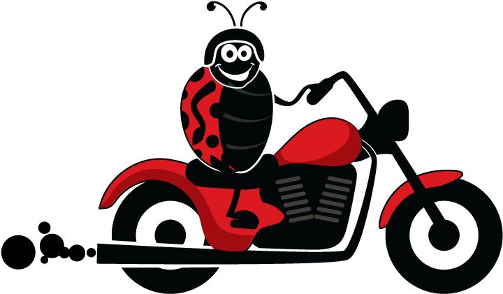 Motorbike Storage - Ladybird Self Storage (727x426)