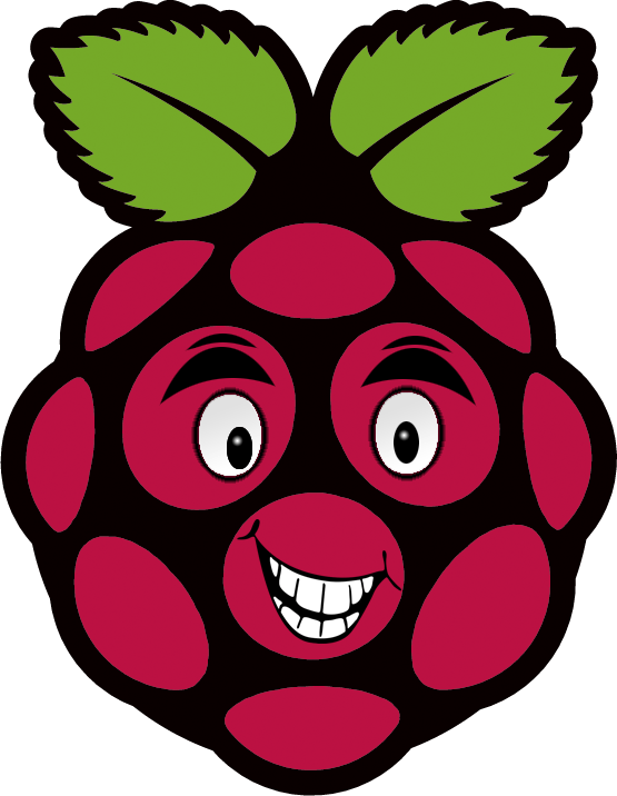 Install Arduino Ide On Raspberry Pi - Raspberry Pi Logo Vector (555x716)