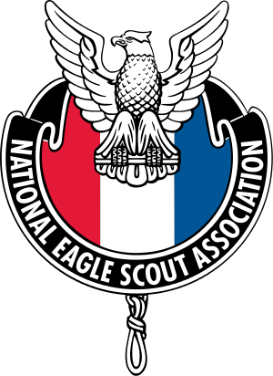 National Eagle Scout Association - National Eagle Scout Association Logo (300x412)