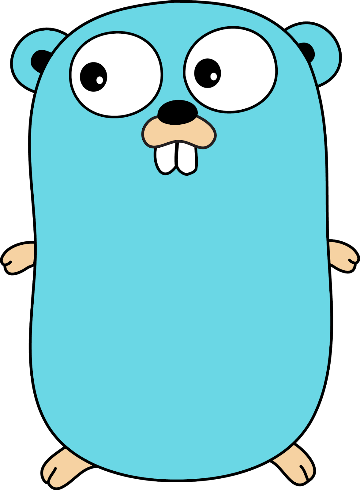 Today I Will Explain How To Install Google Golang And - Go Programming Language Logo (1634x2224)