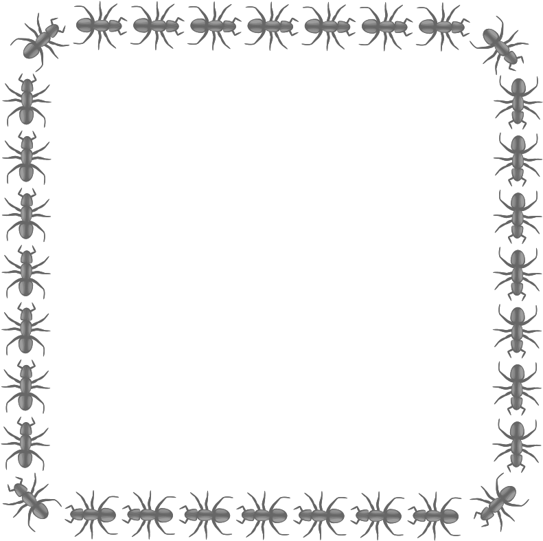 Medium Image - Ant Border (800x796)