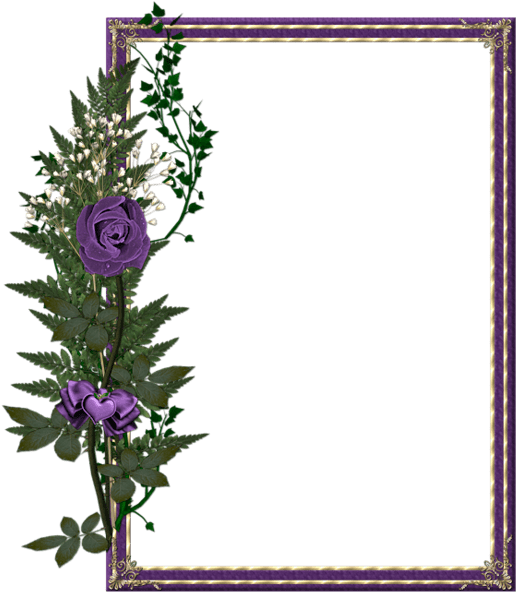 All New Beautiful Frames (528x600)