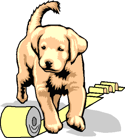 Diddle Diddle Dumpling, My Friend Ella Sleeps On The - Labrador-retriever1.png Shower Curtain (414x455)