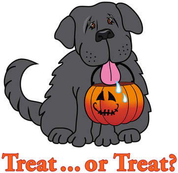 Strength Without Insolence, Courage Without Ferocity, - Cute Happy Holloween Dog Trick Or Treat Tee For Dog (400x372)