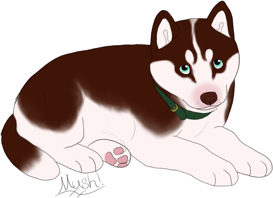 Copper Colored Husky With Light Aquamarine Eyes And - Mackenzie River Husky (1024x768)