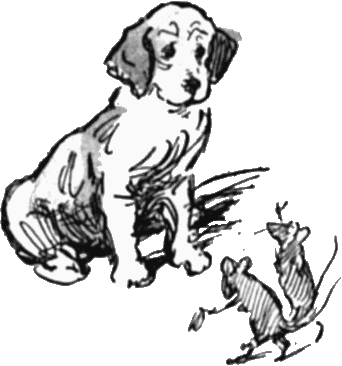Greyscale Drawing Of Two Mice, Both Standing On Hind-legs - Spaniel (342x366)