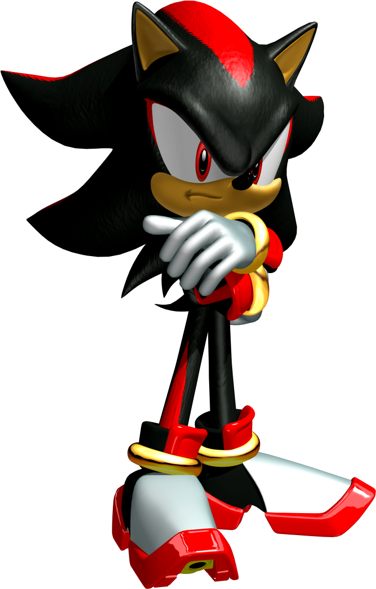 Shadow Heroes - Shadow The Hedgehog Sonic Heroes (800x1227)