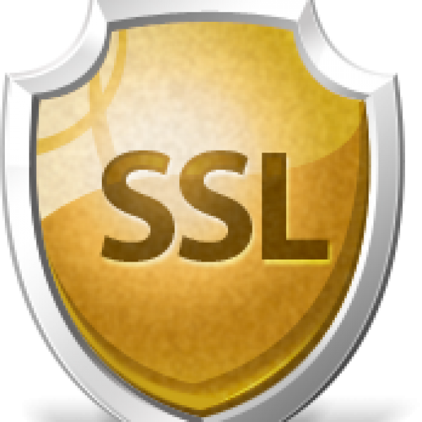 Transport Layer Security Wikipedia - Certificate Revocation List (600x600)