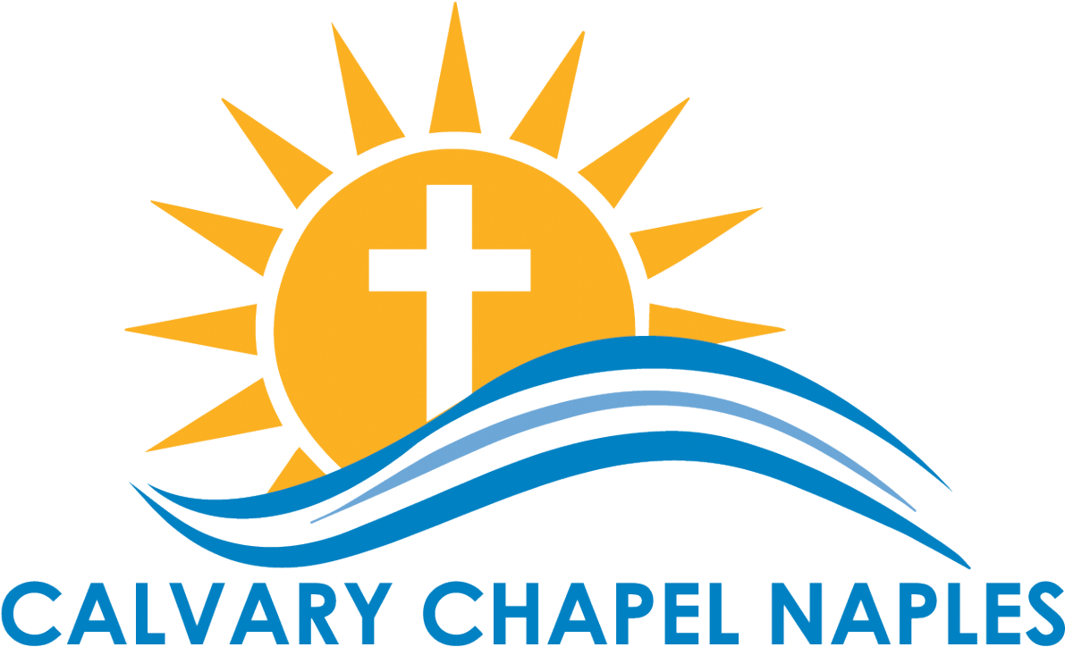 Powered By Ardent Payment Solutions, A Pci Compliant - Baby Kiko (1280x771)