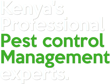 Kenya's Professional Pest Control Management Experts - Kenya's Professional Pest Control Management Experts (475x286)