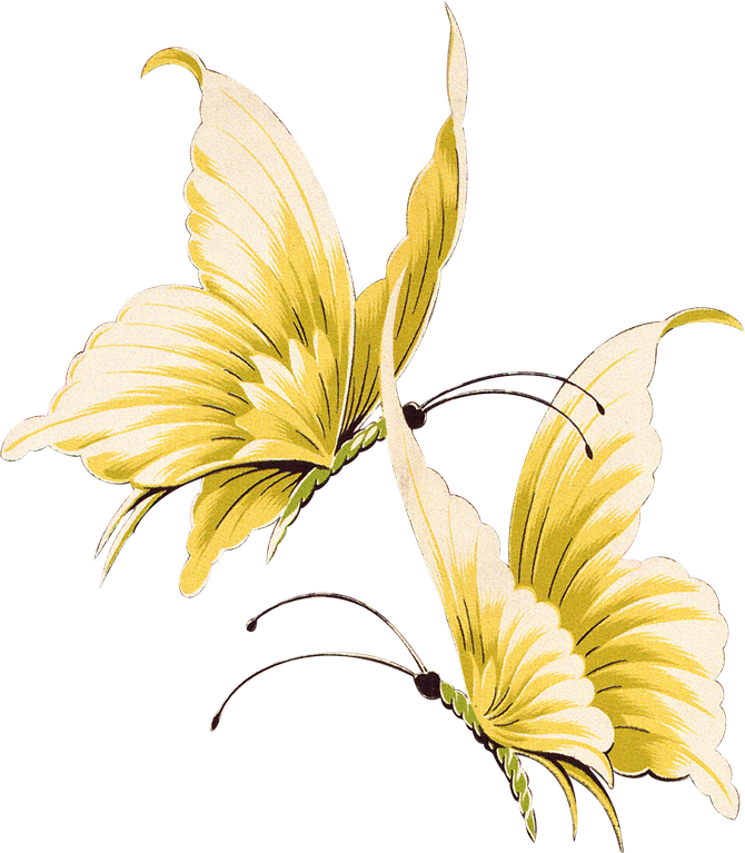 Фото, Автор Arana На Яндекс - Beautiful Butterflies Transparent (670x767)
