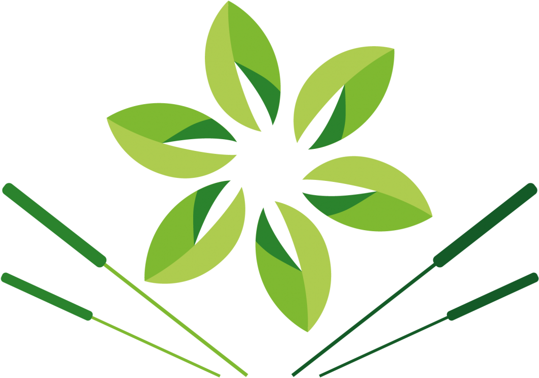 Solomon's Seal Acupuncture & Herbal Medicine - Medicine (1100x751)