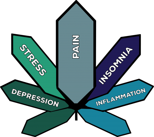 Indica Mood - Indica Mood (500x445)