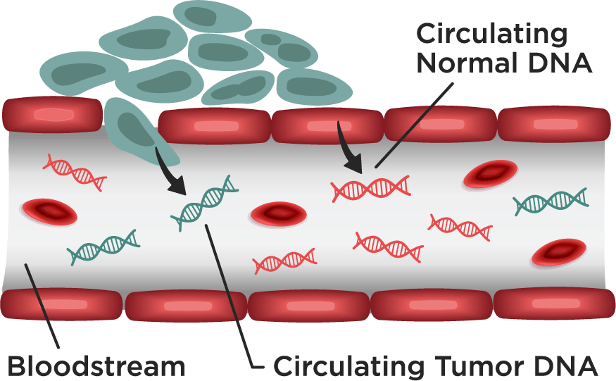 Circulating Dna - Comfort (875x541)
