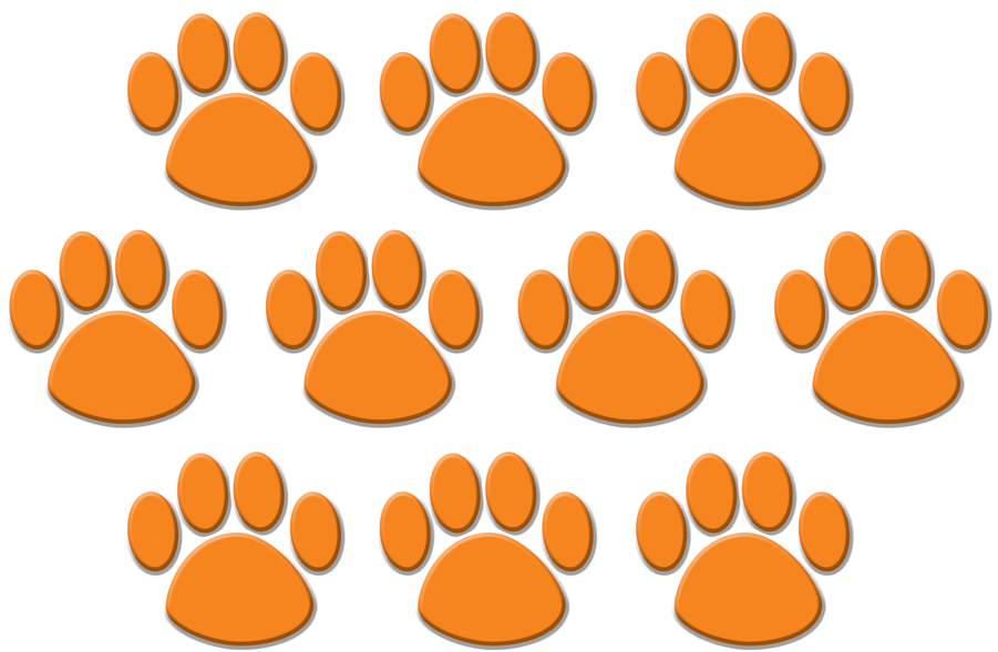 Tcr4649 Orange Paw Prints Accents Image - Orange Paw Prints (900x900)