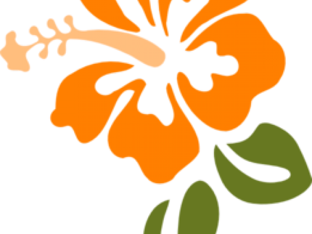 Orange Clipart Gumamela - Hibiscus Clip Art (640x480)