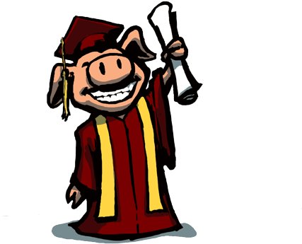 Today Is Graduation Day For My Big Brother, Whom I - Pig (500x524)