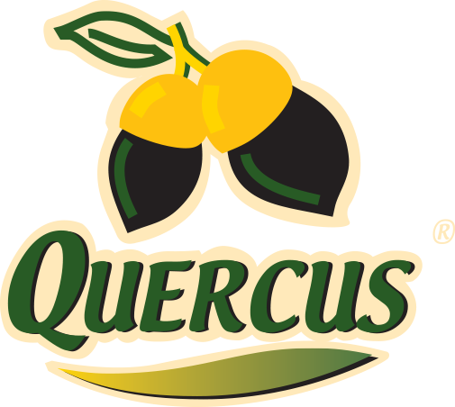 Jamones Quercus - Jamones Quercus (505x452)