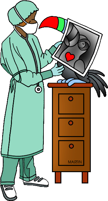 Ray Clipart Clip Art - X Ray Technician Clipart (363x648)