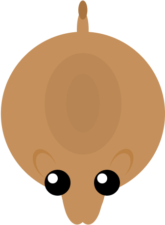 Artisticcamel - Mope Io Bear Skin (500x500)