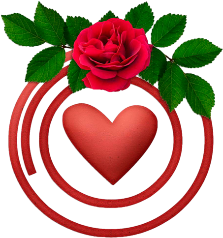 Red Roses And Hearts - 生きる輝きに共感して: 杉並で暮らす高齢者の状態と介護保険 (500x500)