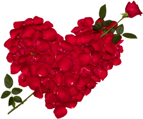 Hearts And Flowers Wallpapers - Nice Flowers (600x450)