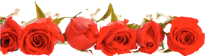 The Winning Team Was 'team Hearts' Which Contained - Jesus You Are My First Love (690x245)