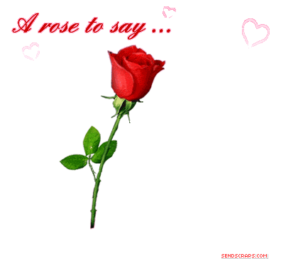 A Rose To Day I Love You - Happy Rose Day (364x357)