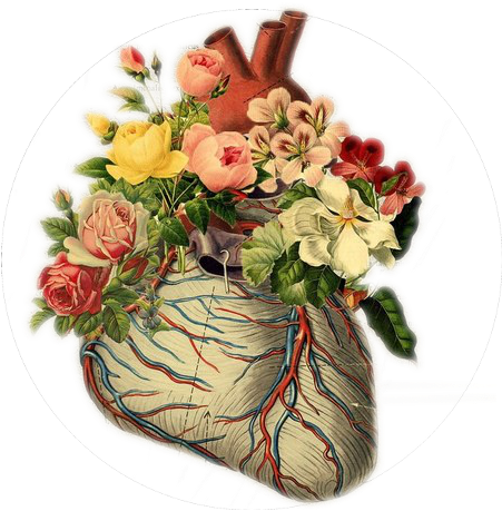 Colour, Heart, And Transparent Image - Colour, Heart, And Transparent Image (500x500)