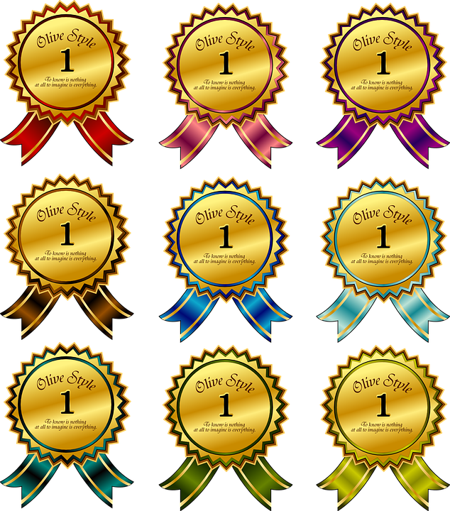 Insignias Digitales (634x720)