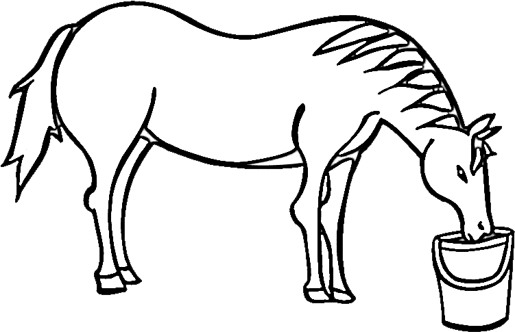 Drink Coloring Pages - Coloring Book (750x505)