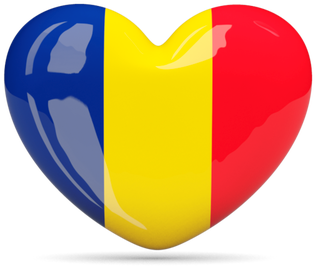 Teachers Of These Schools Will Work Together To Invent - Cafepress France Football Baby Blanket (400x300)